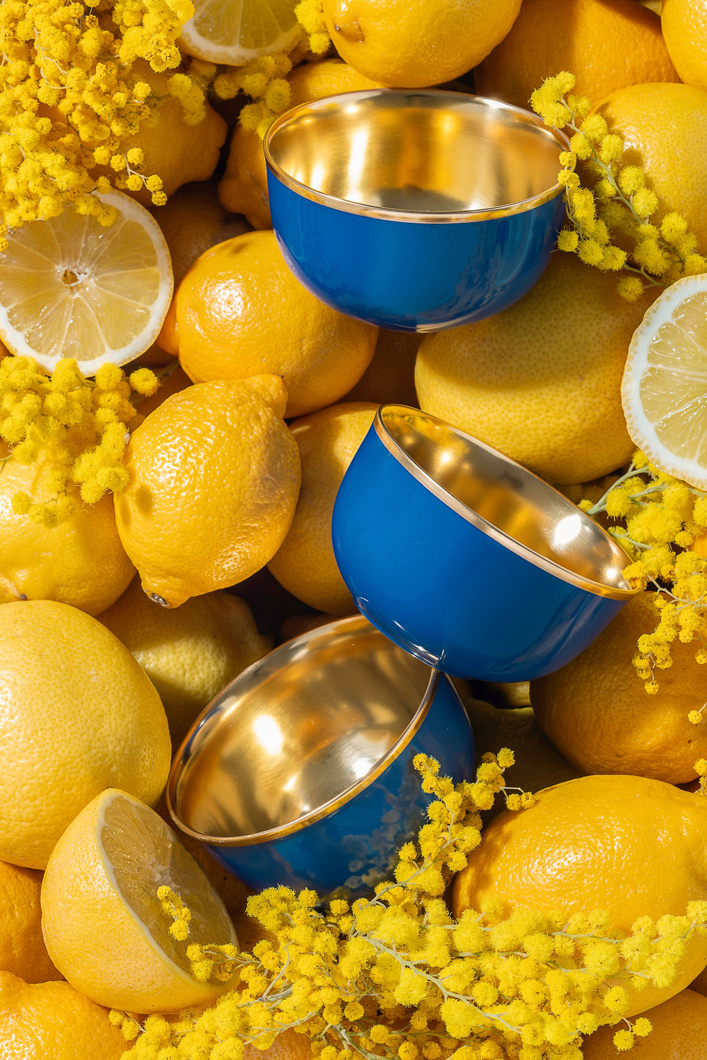 Champagnerschale_Capri_Bild