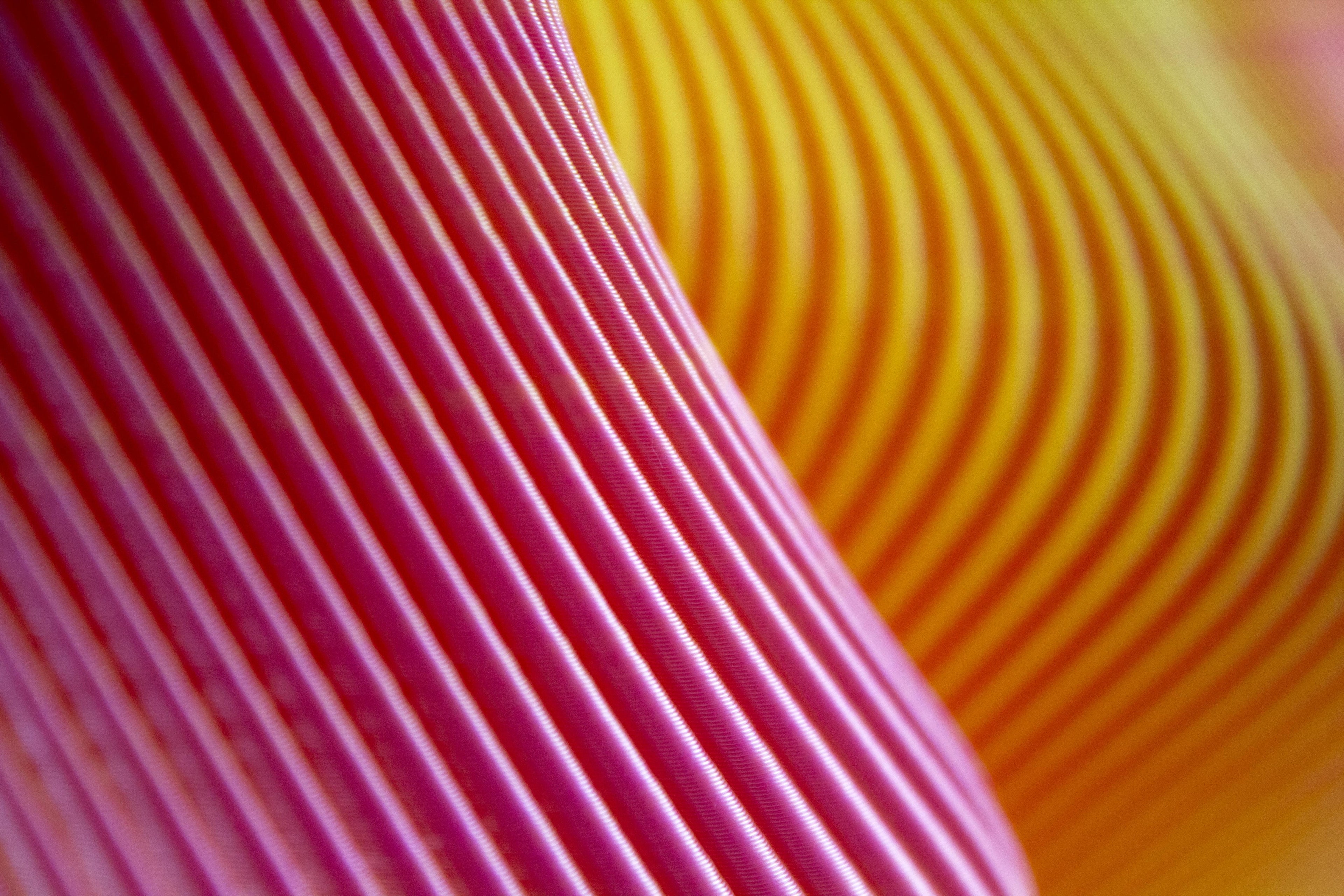 Bloz 350g Blend Vase von Sheyn